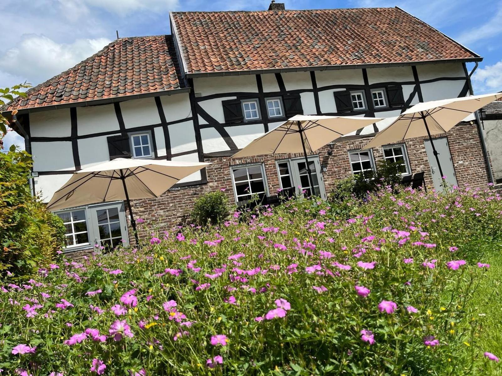 Vakantiewoningen 'Hoeve De Witte Olifant' 诺尔贝克 外观 照片